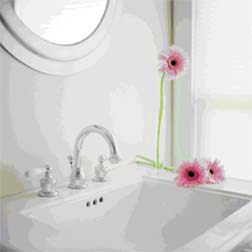 Bathroom Cleaning Tips